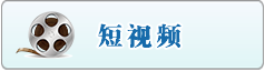 国产网站骚逼